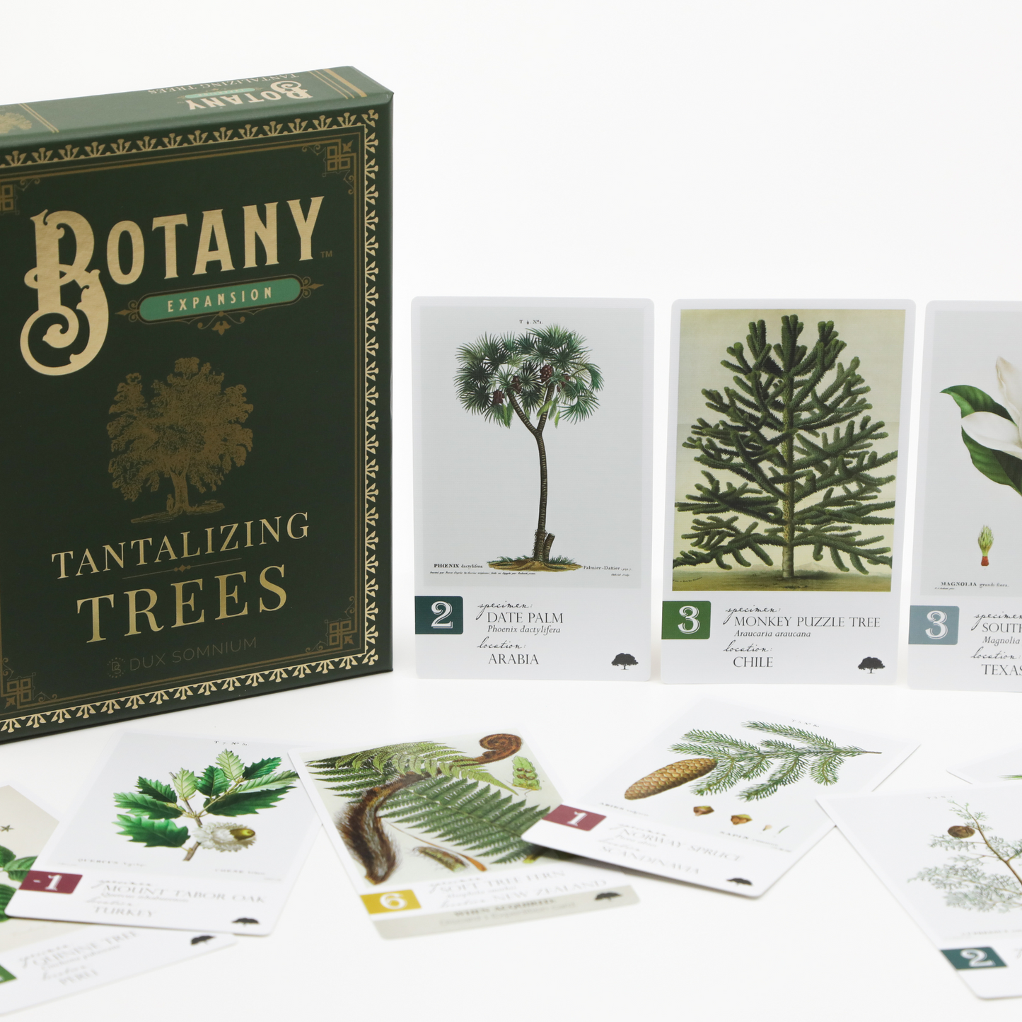 Tantalizing Trees: An Expansion for Botany