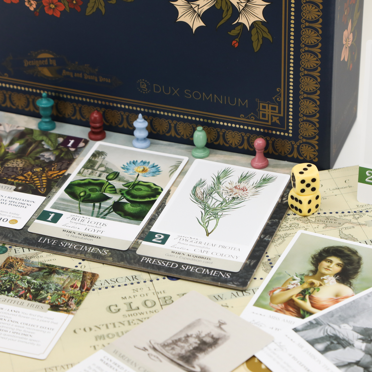 Botany | Flower Hunting in the Victorian Era – Dux Somnium