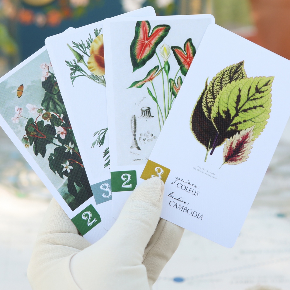 Botany | Flower Hunting in the Victorian Era – Dux Somnium