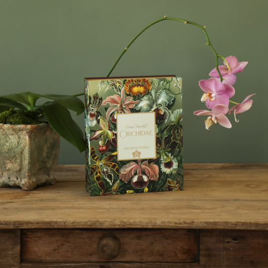 Orchidae Puzzle (Preorder - Ships December 2026)