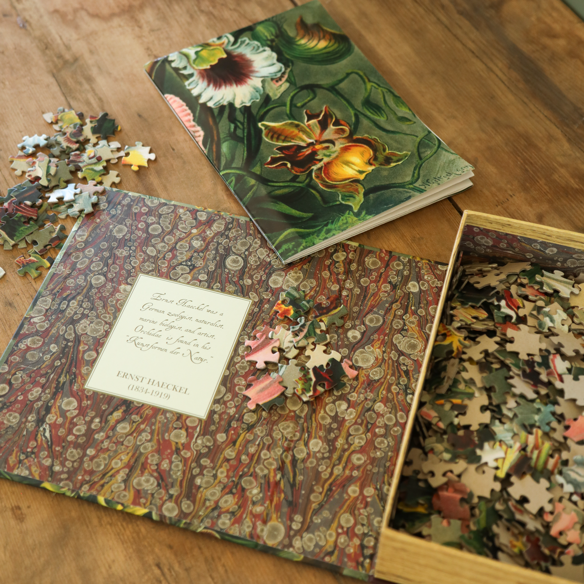 Orchidae Puzzle (Preorder - Ships December 2026)