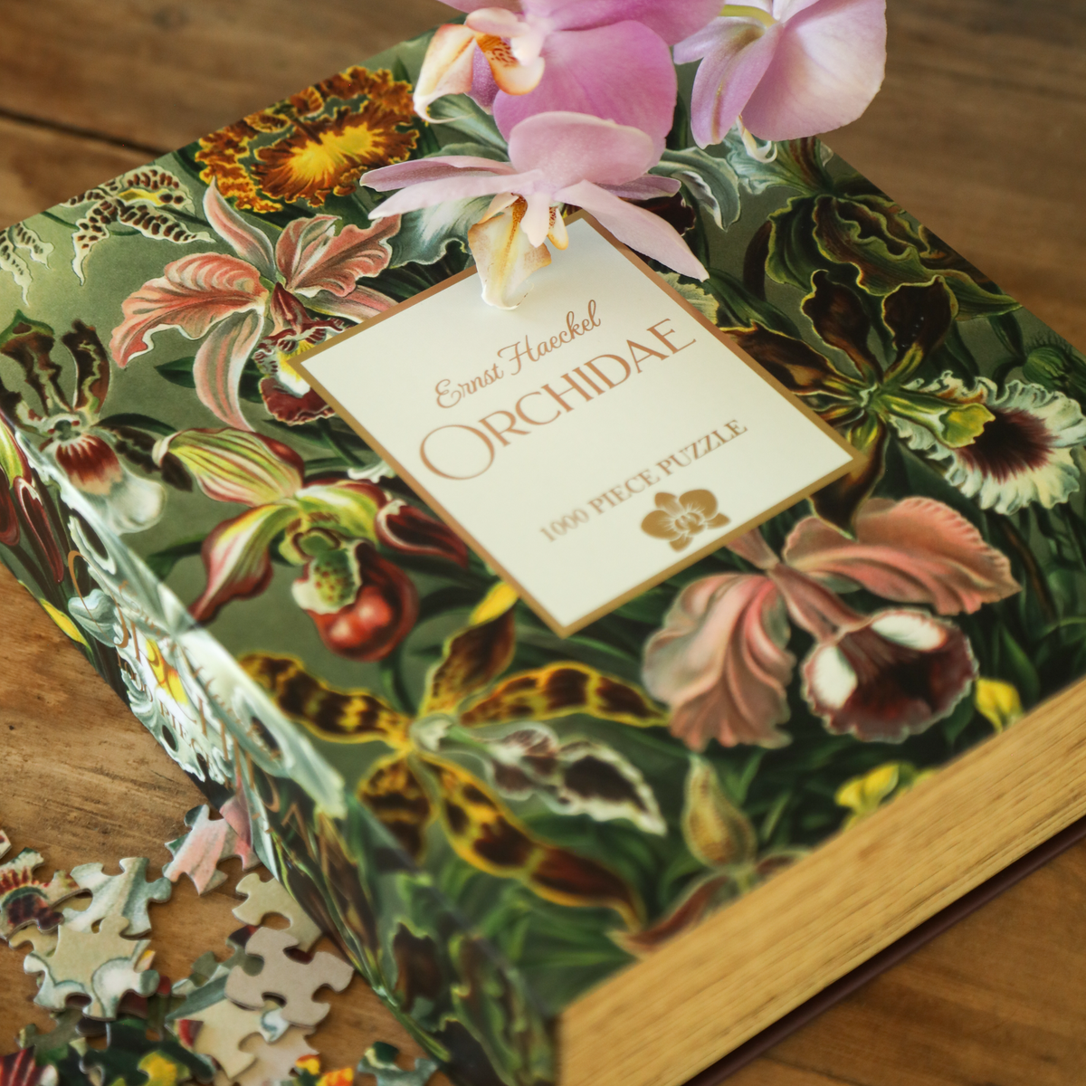 Orchidae Puzzle (Preorder - Ships December 2026)